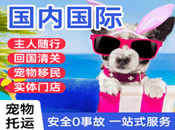 德宏空运地址国际宠物托运 【国
